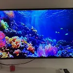 Estudio Con Mejor Posicion En Playa Vistas